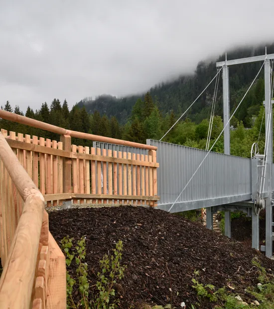 Ponte pedonale sospeso in acciaio con recinzione in legno in foresta alpina sotto cielo nuvoloso